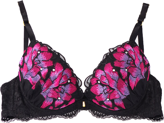 bra 2,300yen