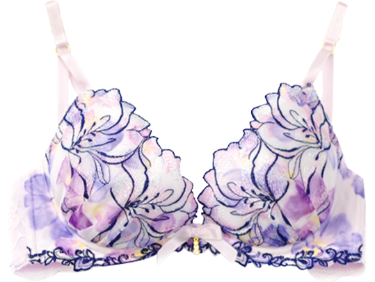 bra 2,300yen
