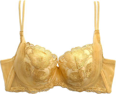 bra 3,800yen