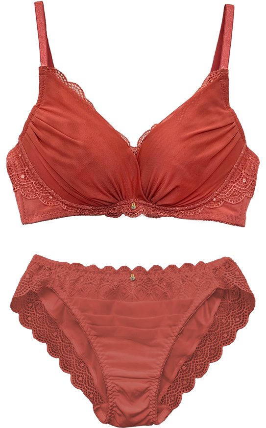 bra & shorts set 2,700yen